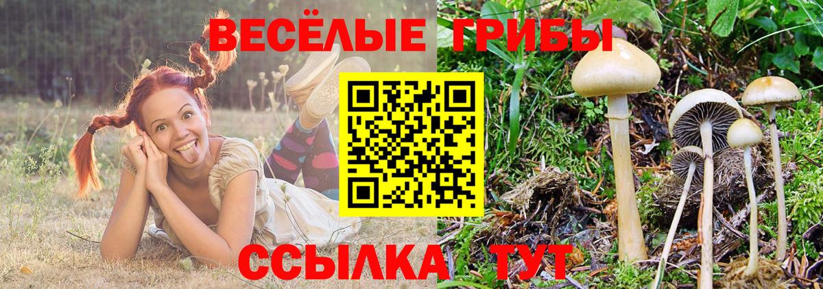 Галлюциногенные грибы ЛСД  Вход с VPN  Наро-Фоминск 